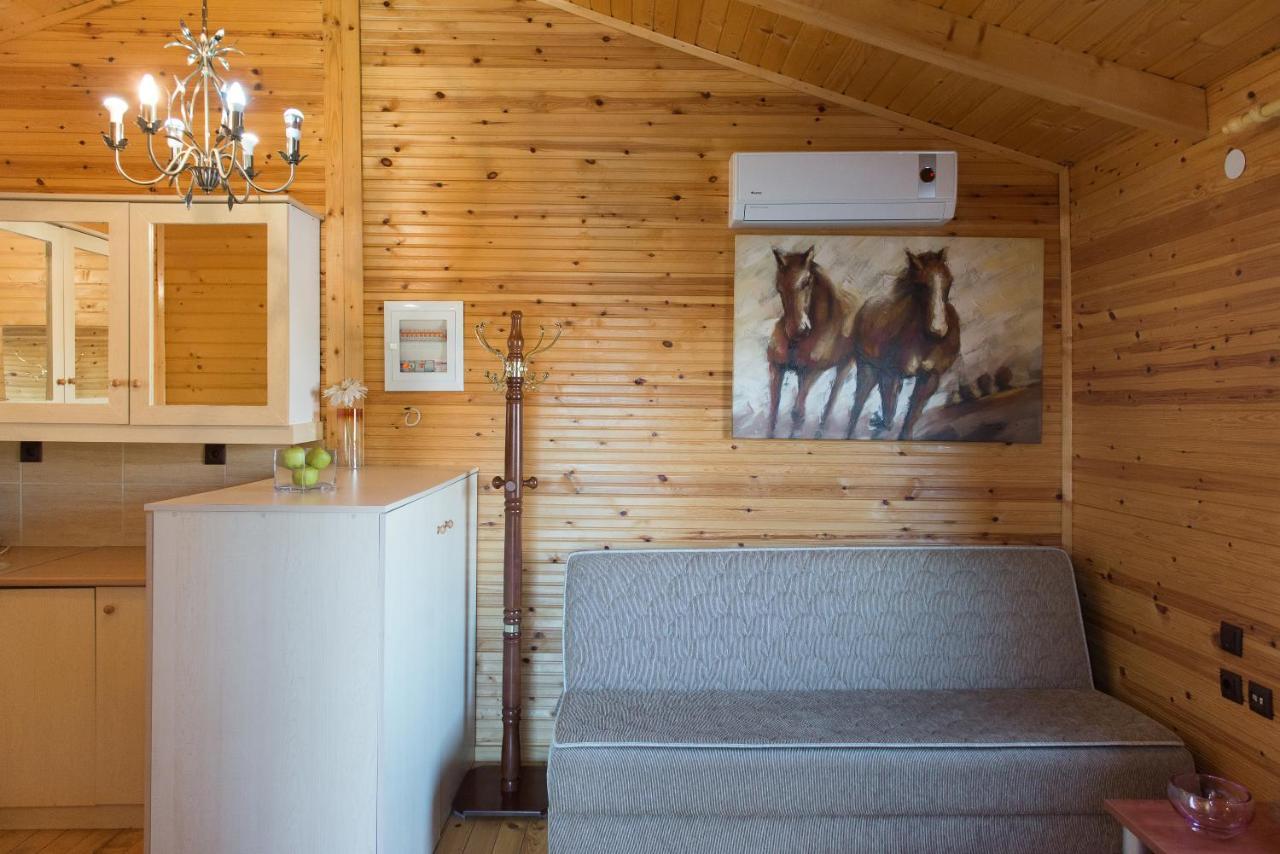 Hotel Aigli Farsala Екстериор снимка