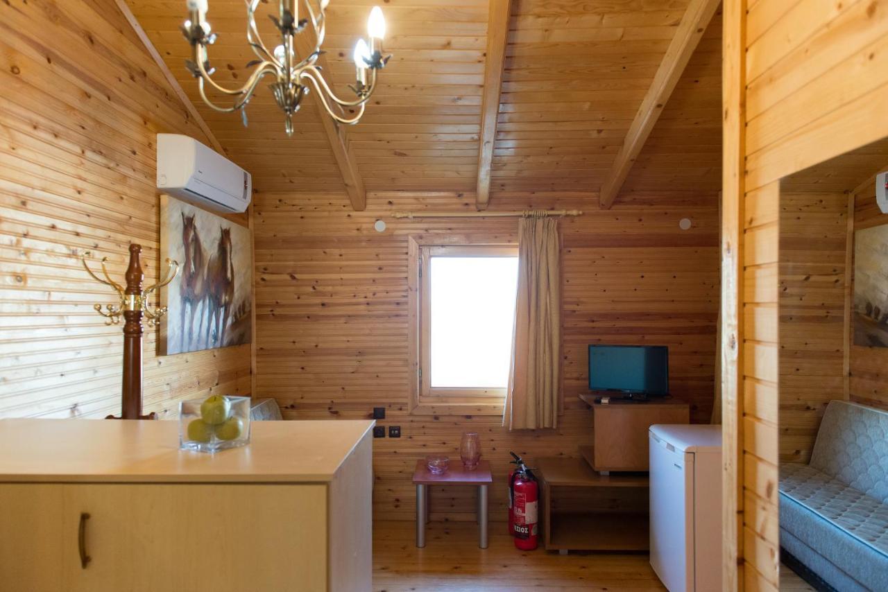 Hotel Aigli Farsala Екстериор снимка